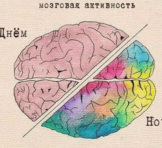 Иван Пигарёв: Как работает мозг во время сна