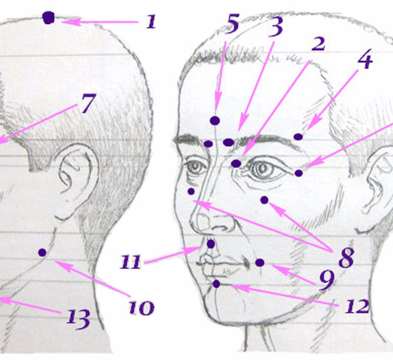 Активные точки на лице человека схема расположения