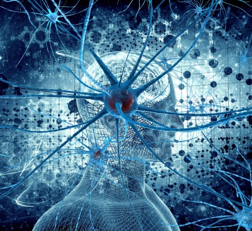 Как сохранять здоровый и активный мозг