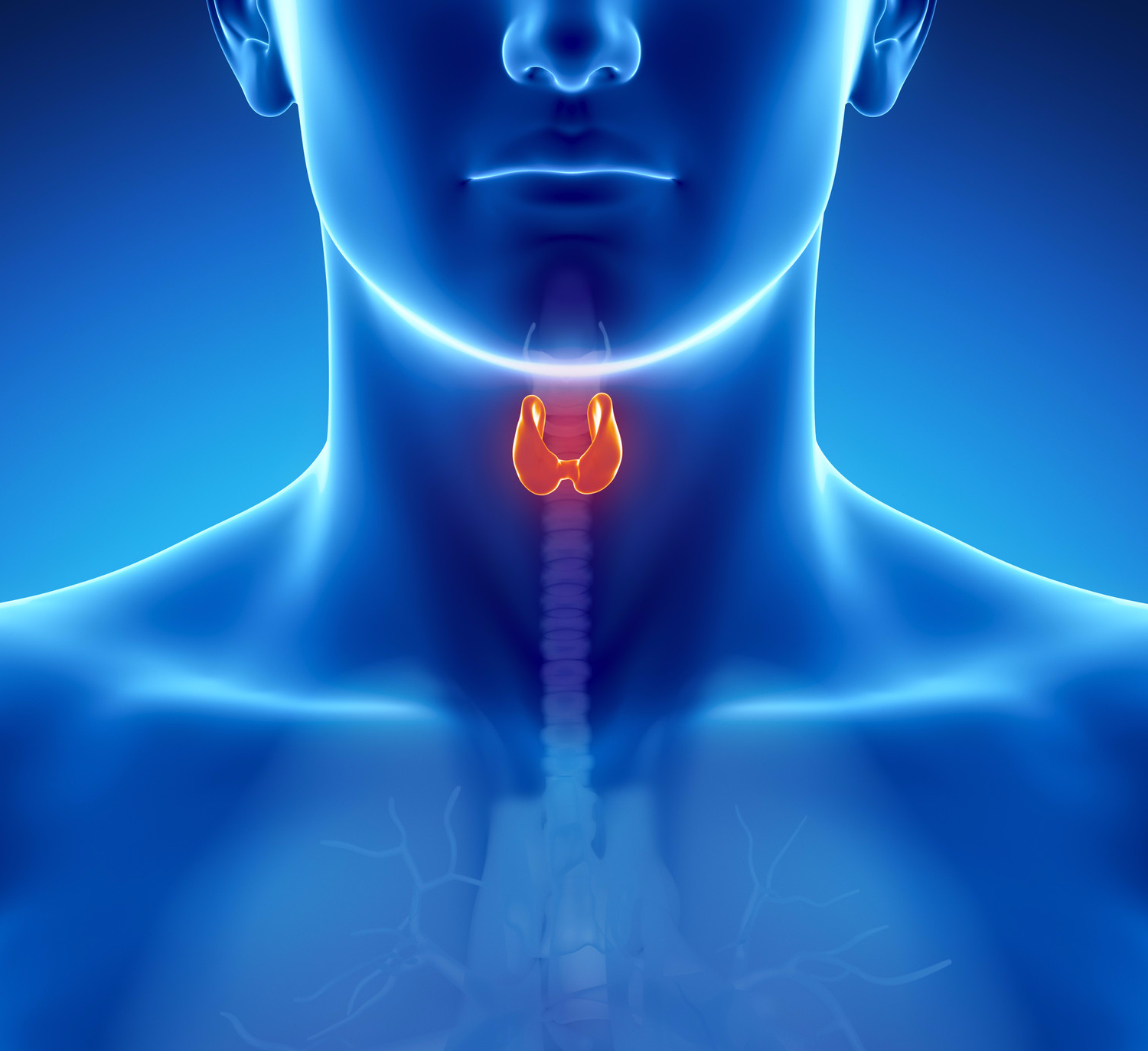 Аплазия щитовидной железы