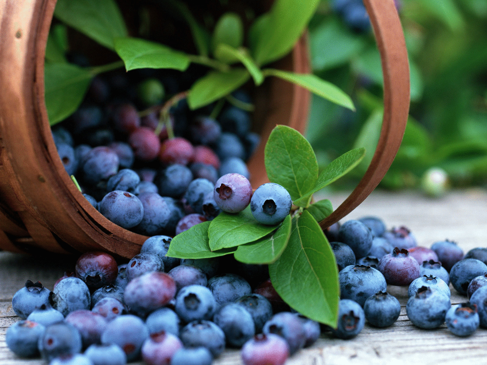 Как сохранить витамины в ягодах и фруктах
