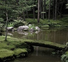 Сад мхов Saiho-ji