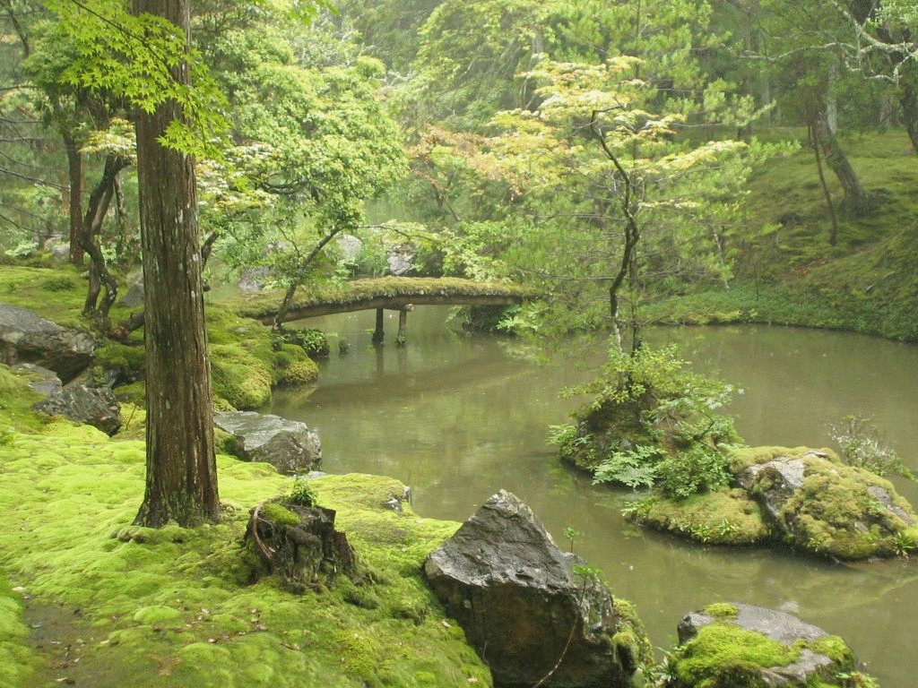 Сад мхов Saiho-ji