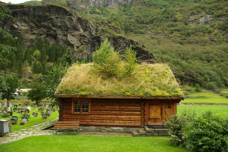  Травяные крыши В Норвегии