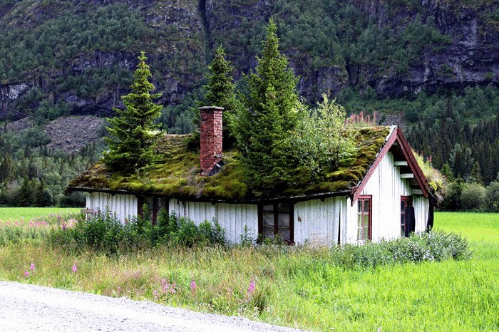  Травяные крыши В Норвегии