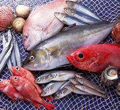 Морепродукты, которые могут нас убить