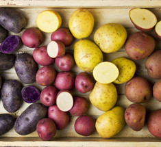 Как обновить сорт картофеля: 5 способов  