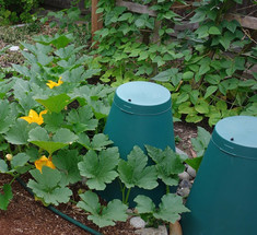 Green Cone для сада и огорода: компостирование всех видов пищевых отходов 