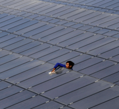 Мощность всех солнечных электростанций в Индии достигла 8 ГВт