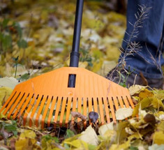 7 полезных идей что делать с опавшими листьями