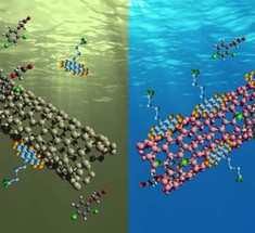 Новый способ фильтрации воды с помощь углеродных нанотрубок
