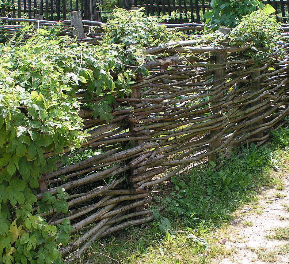 Забор изгородь плетень