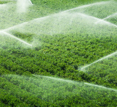 Напечатанные на листьях сенсоры подскажут фермерам, когда пора поливать