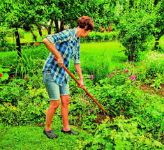 10 советов по экологическому садоводству