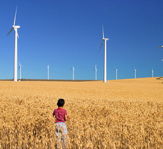 GWEC прогнозирует рост ввода мощностей ветроустановок