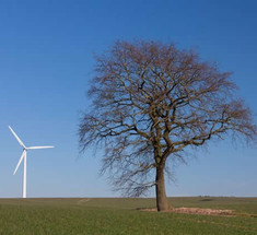 Установлена новая цель развития ВИЭ в Европе: 32% потребления энергии к 2030