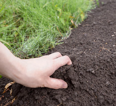 А вы знаете, какая почва на вашем участке? Определяем состав грунта самостоятельно