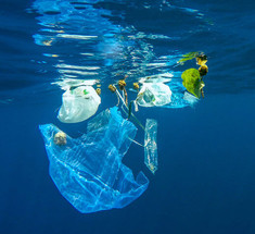 Загрязнение пластиком вредит бактериям, помогающим производить кислород, которым мы дышим