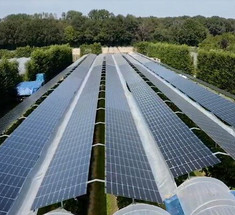 Солнечные панели над полями малины - перспективный проект в Нидерландах похвастался урожаем