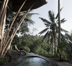 Зеленая деревня на Бали