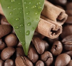 Кофе под угрозой исчезновения