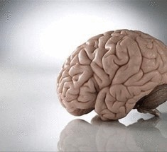 Вынос мозга
