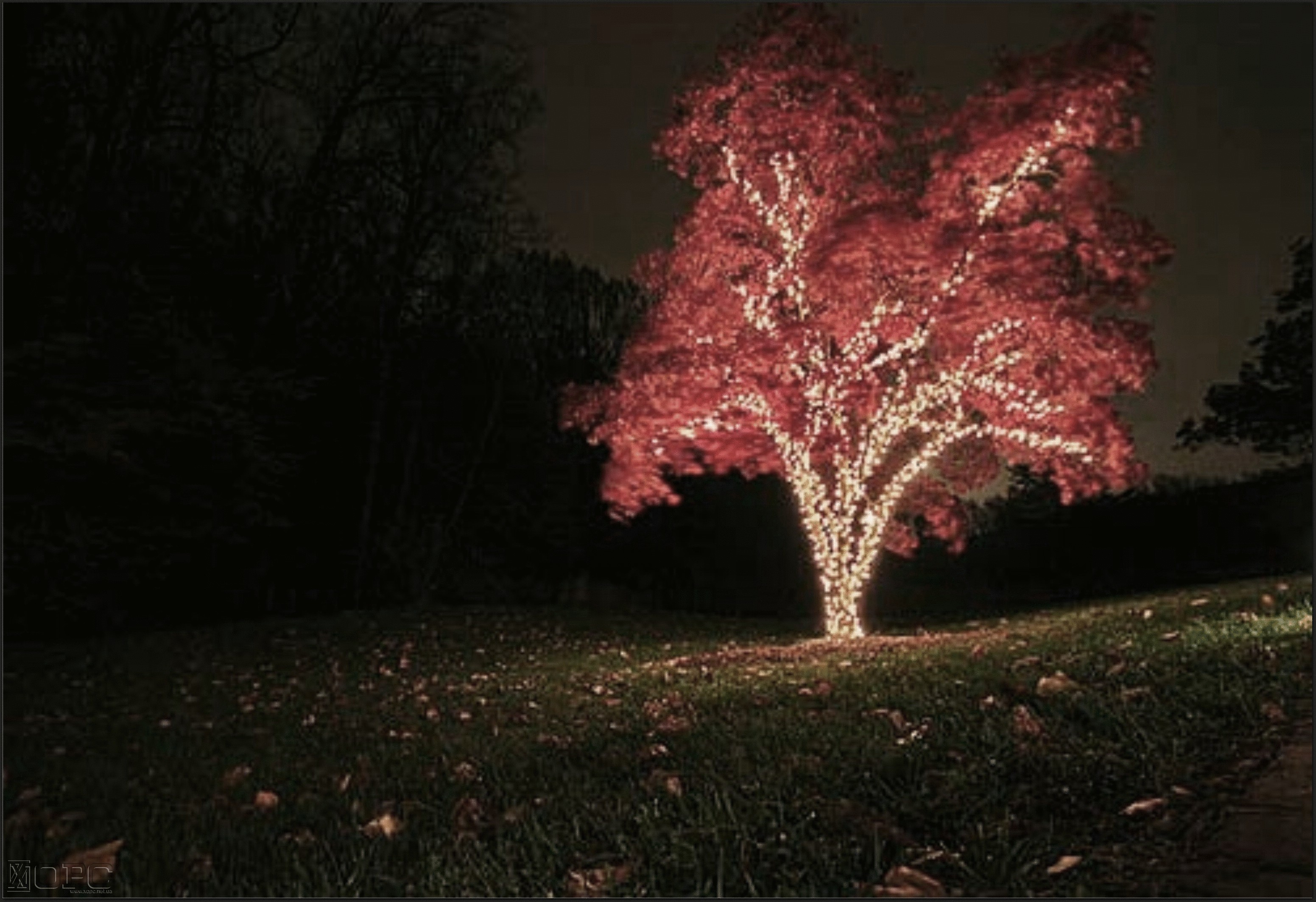 Light tree