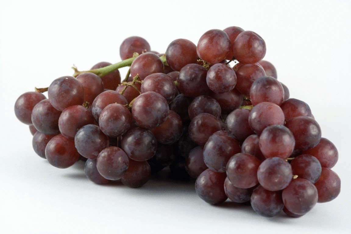 Виноград защитит кожу