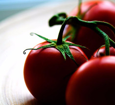 Как продлить  жизнь  томатам и собрать отличный урожай