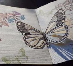  Креатив из картона —невероятные бабочки!