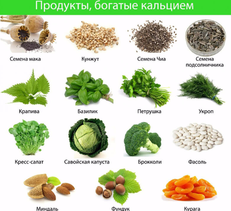 Количество кальция в продуктах таблица