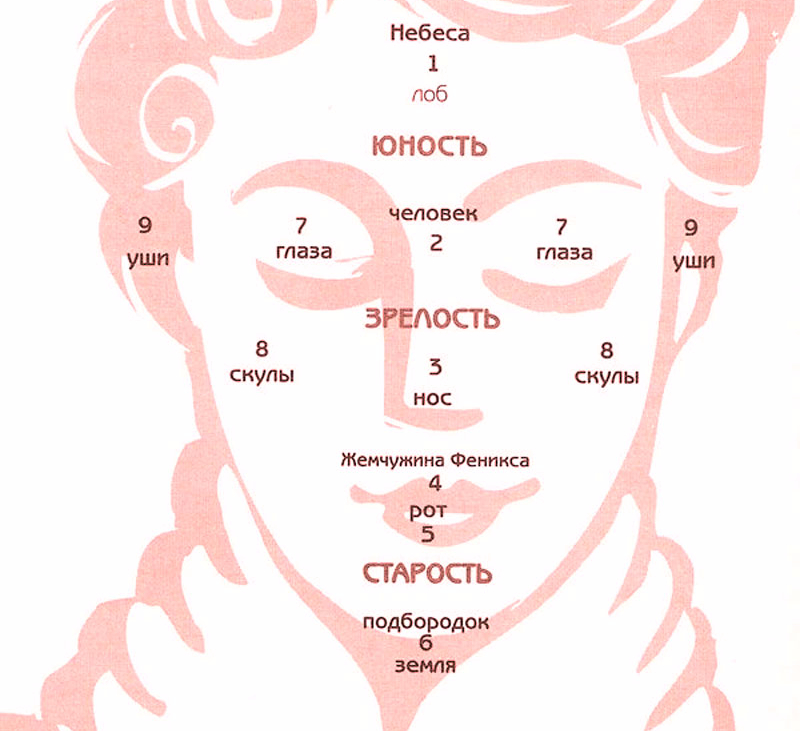 Активные точки на лице человека схема расположения