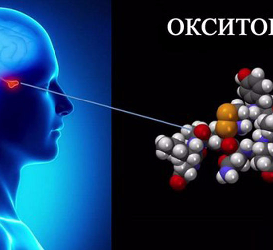 Гормон окситоцин картинки