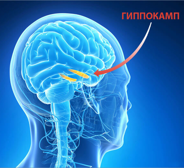 Как работает память черниговская