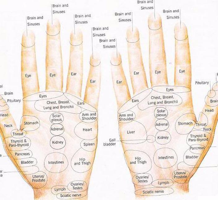 Точки на ладони отвечающие за внутренние органы фото с надписями