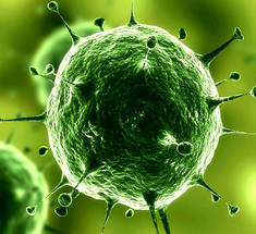 Микоплазма: Опасный клеточный паразит, который ждет "звездного часа" для массированной атаки