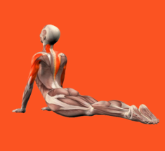 Упражнение «Ползущая спина» для гибкости и подвижности позвоночника