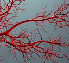 Ангиогенез: Движущая сила любого рака