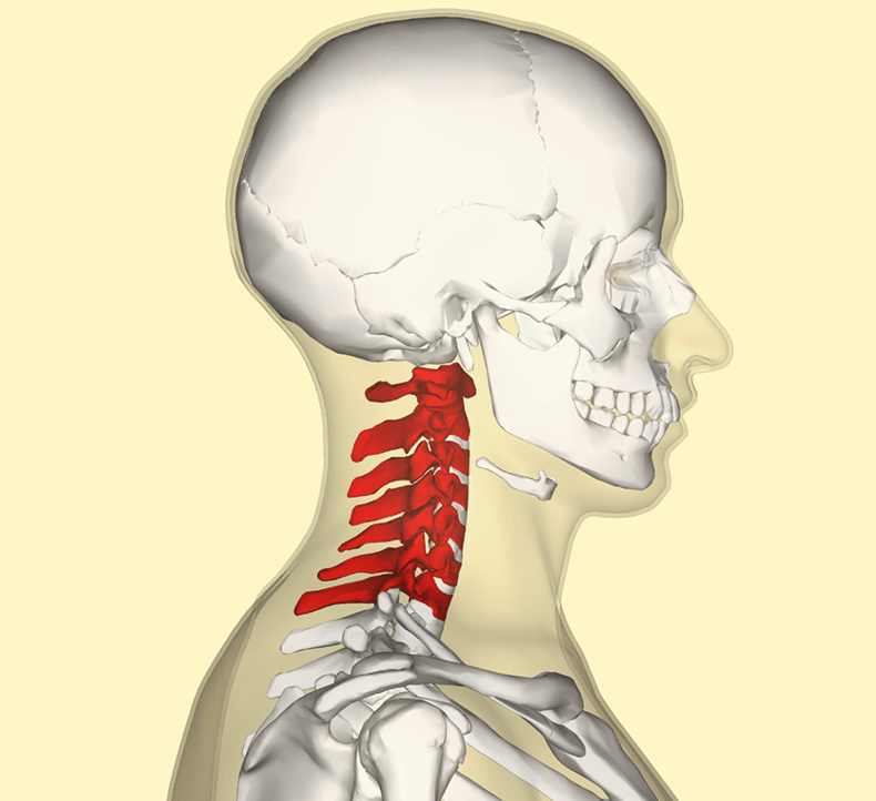 Перелом шейного отдела позвоночника. Атлант позвонок перелом. Шейный отдел позвоночника —7 позвонков. Перелом шейного отдела позвоночника симптомы.
