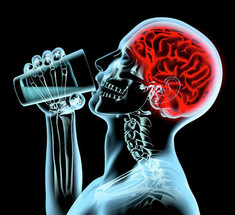 Известный психиатр Самуель Болл: Как алкоголь, на самом деле, влияет на мозг
