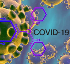 Необходимые питательные вещества, которые помогут защититься от коронавируса