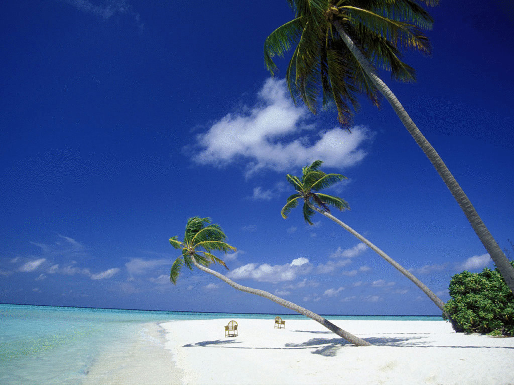 Самуи - кокосовый остров для детей