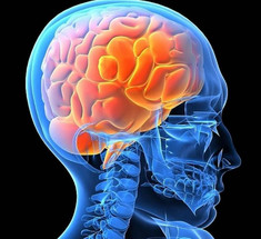 Как витамины группы В укрепляют здоровье мозга, улучшают познание, помогают при проблемах с психикой