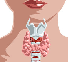 Как правильно поддерживать щитовидную железу