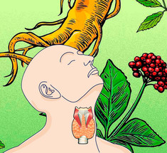 15 растений, которые оптимизируют работу щитовидной железы
