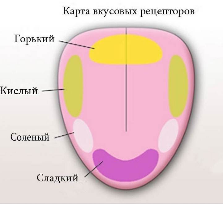 Язык карта организма