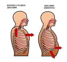 Прямое нижнее дыхание: источник энергии, красоты и здоровья