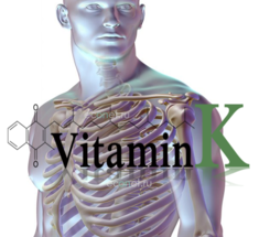 Витамин К2 – ключевой элемент в обмене веществ
