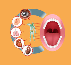 Зубы связаны с внутренними органами: как обнаружить проблемы
