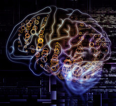 3 вида интеллекта: мозга, души и тела